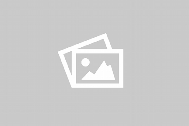 Solar On-Grid Inverters